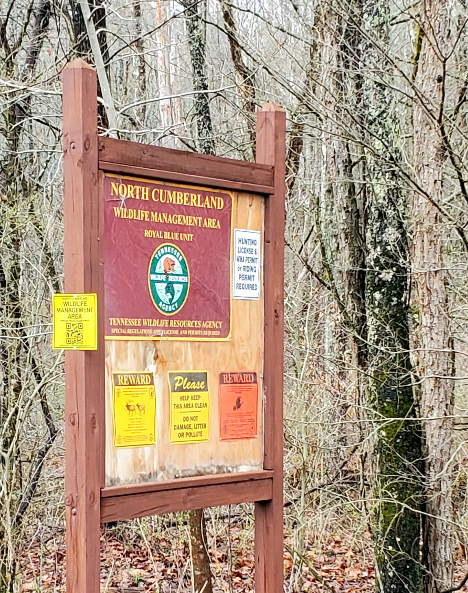 n333551883_748804416545726_3253460779477596740_n