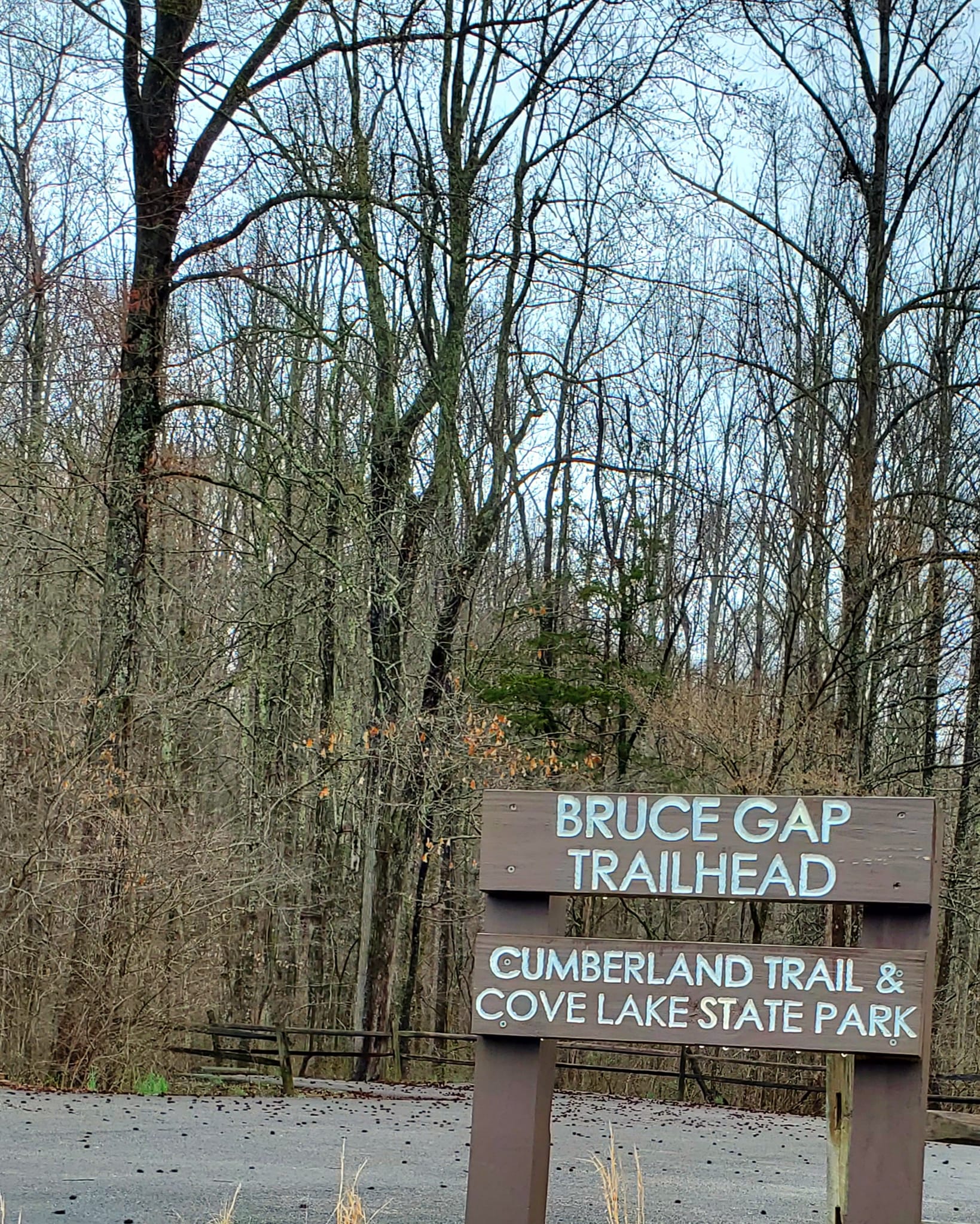 n333560754_1358441911614780_8977904186513731171_n