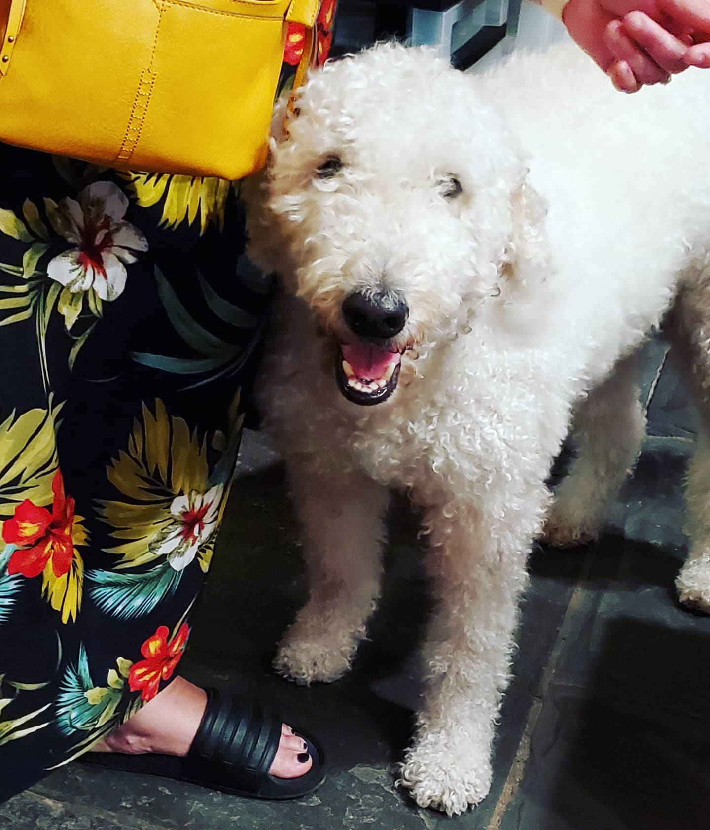 165593242_215514737017974_2091869653252234707_n