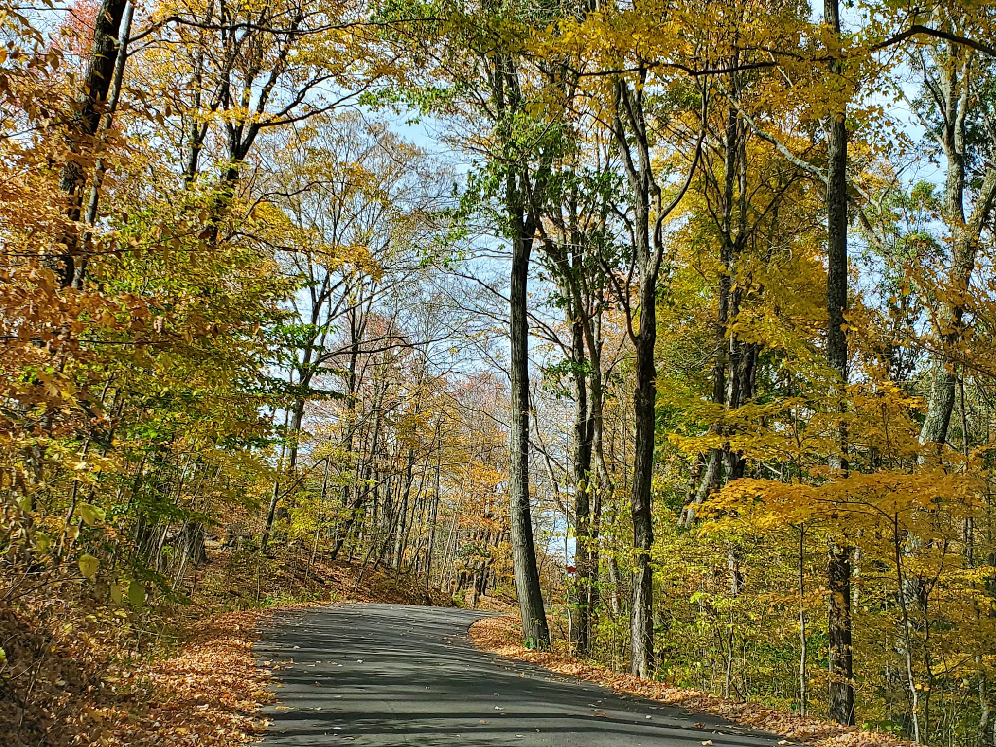 312927686_601364435099667_7917203986645893817_n