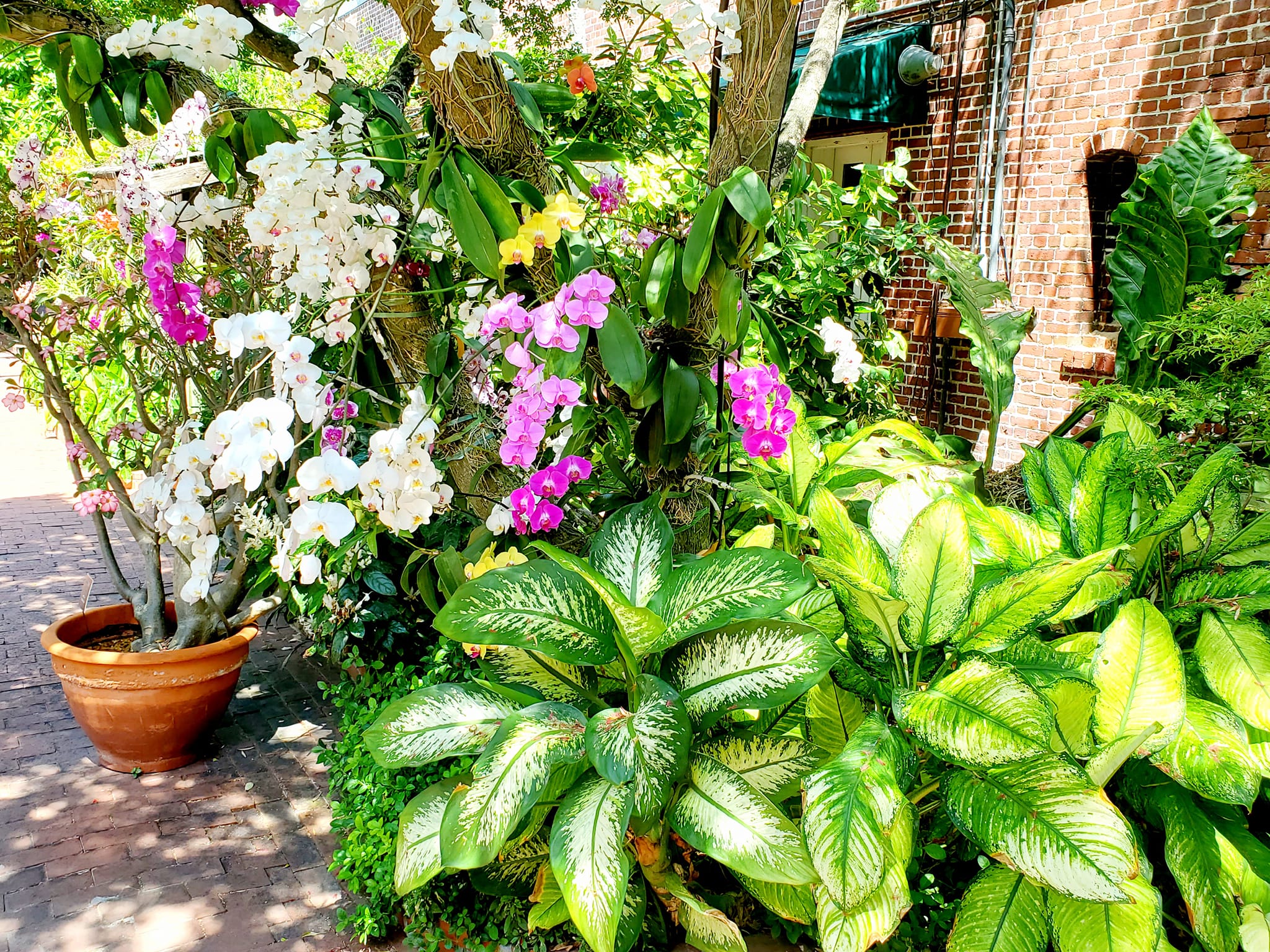 a337370017_1330733557490986_4517932711121855882_n