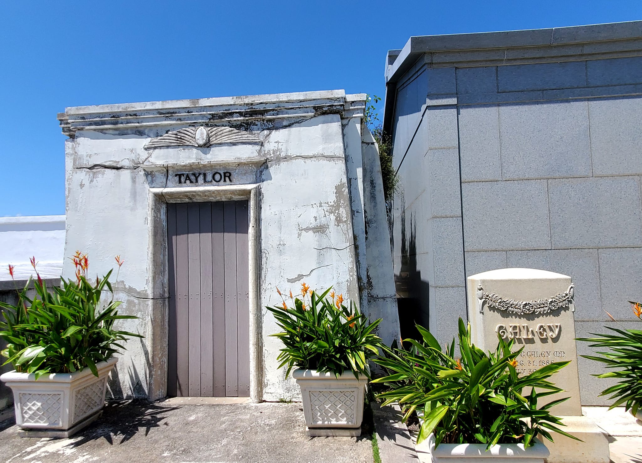 a337422096_527451442882094_774777291145482867_n