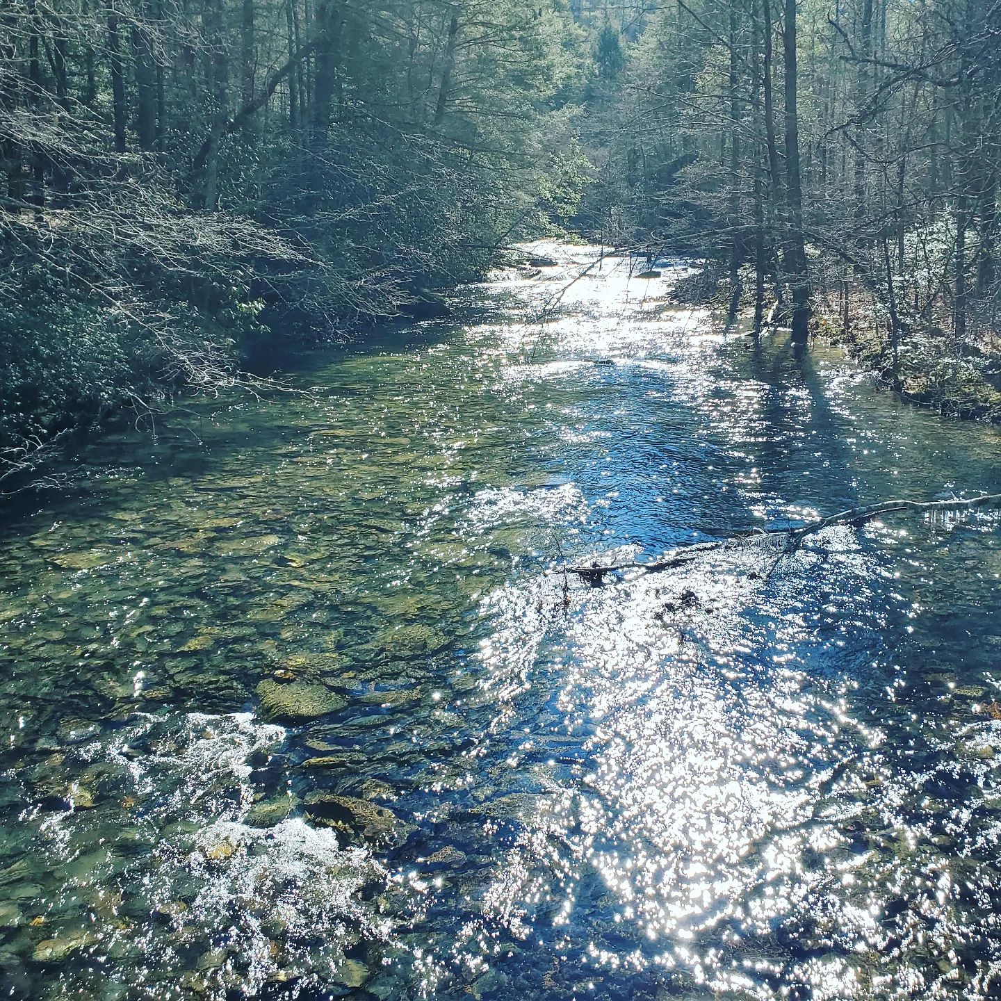 272331262_416974566871989_3194211663656452717_n