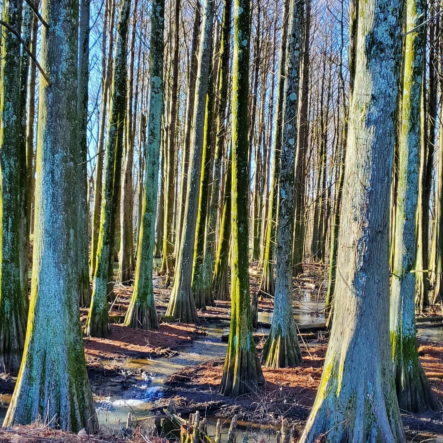 328817699_925232978509480_6698617003841287013_n