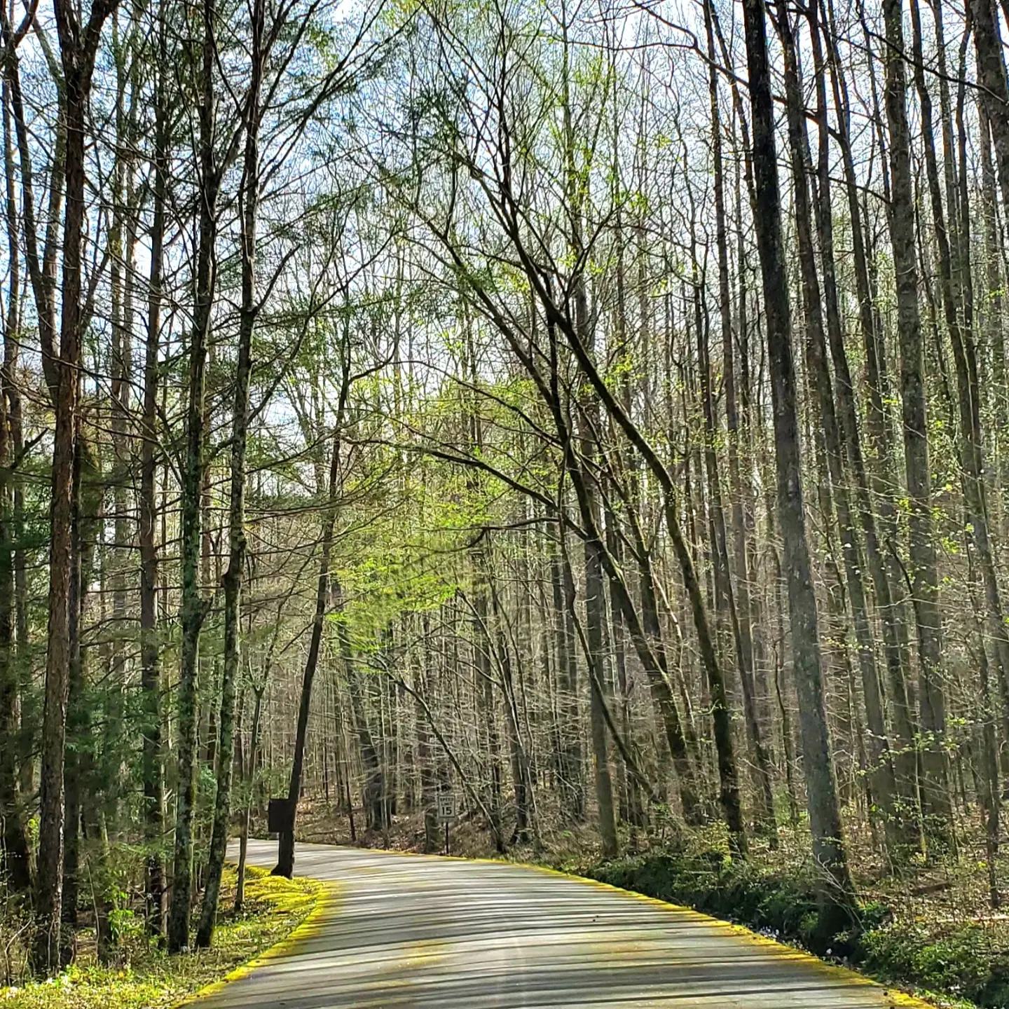 338426494_894640561803931_8648130729996471411_n