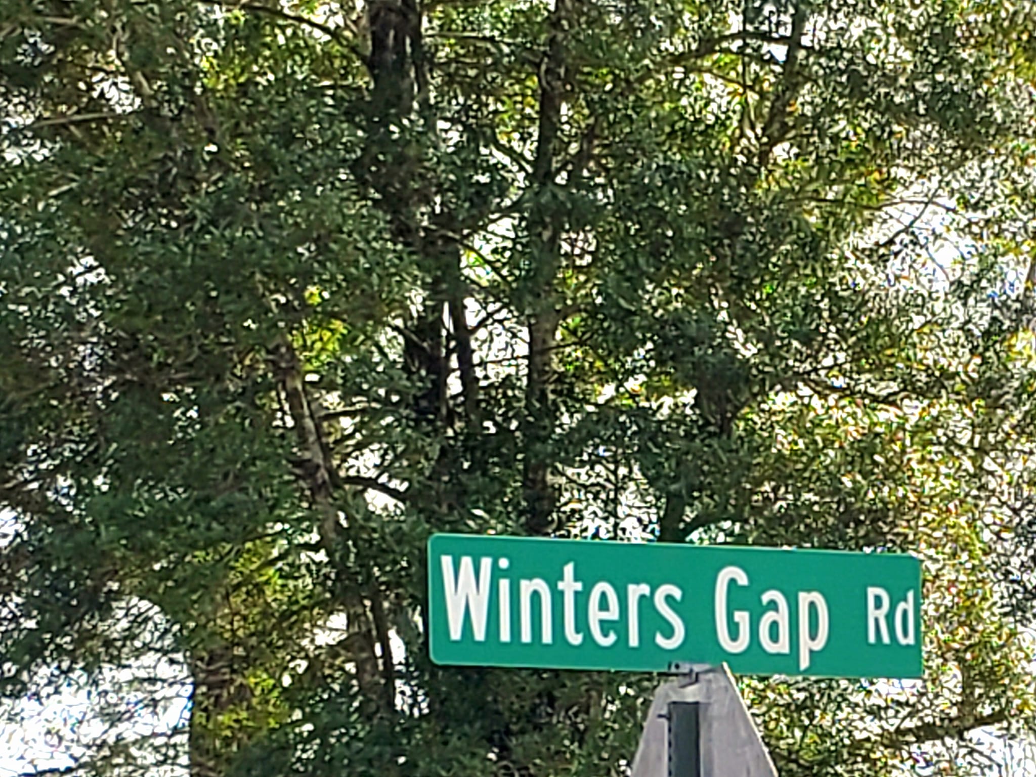 338738430_775674793974712_6819201434647432297_n