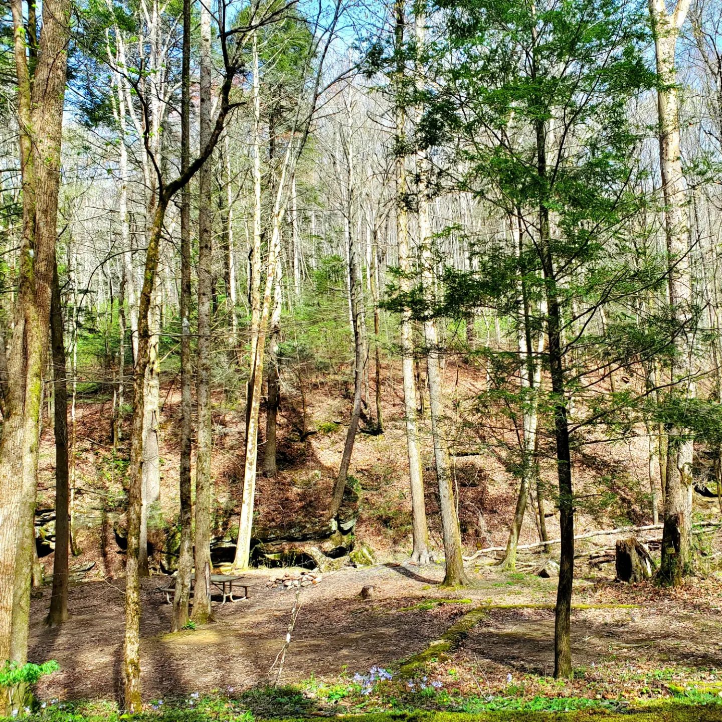 338839133_749075243261787_2965228281325314148_n