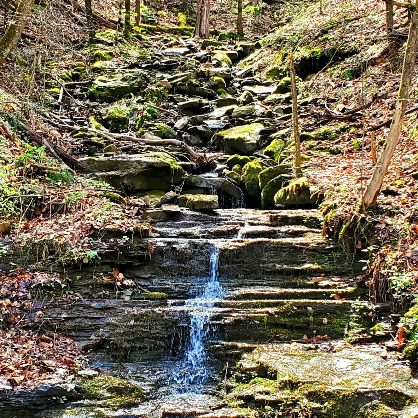 338844272_211427114845897_5184535145393925306_n