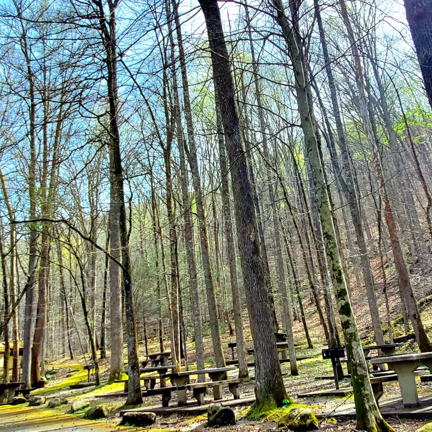 338992845_970399694413595_713303465369855661_n