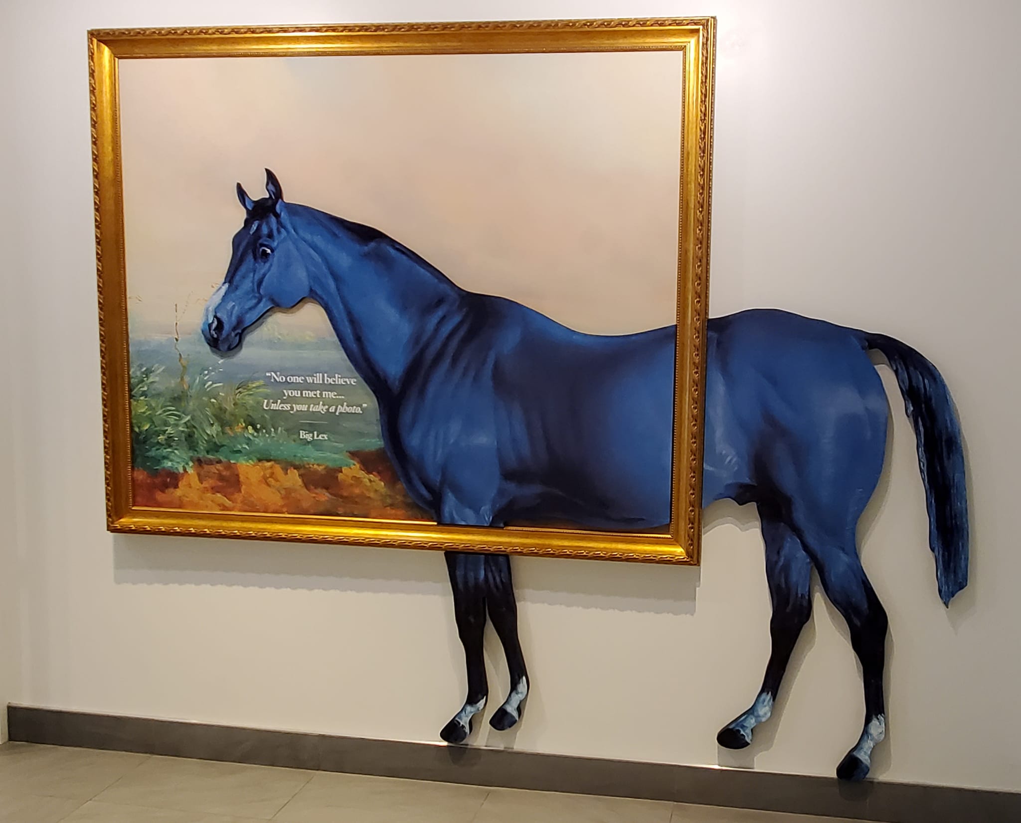 342709828_741237227448852_9120974612260863135_n