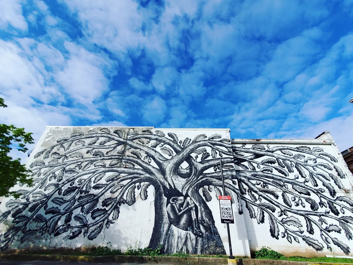 342991005_1292330568024206_2284119596405649047_n