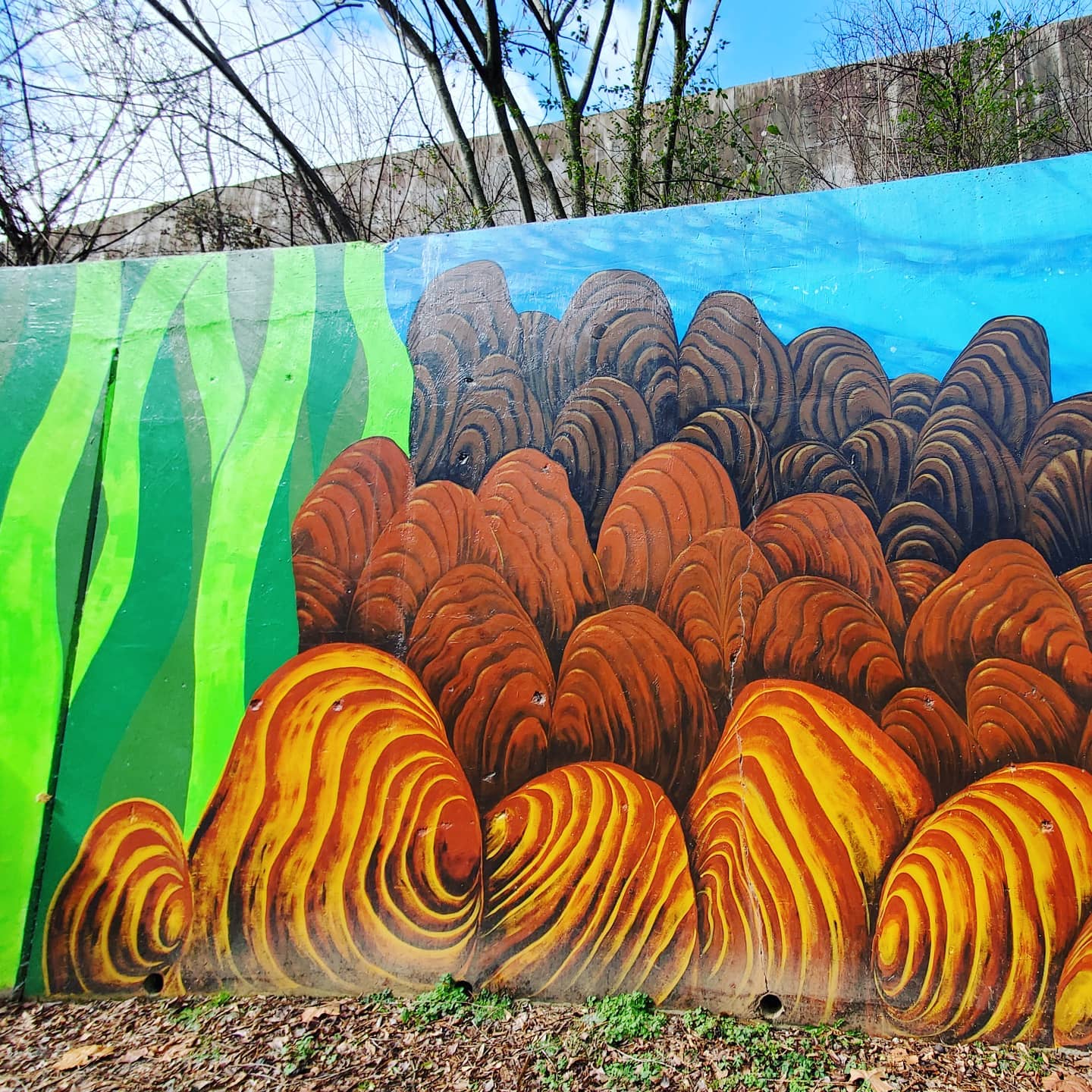 146242493_182483443654437_2212791020077021428_n