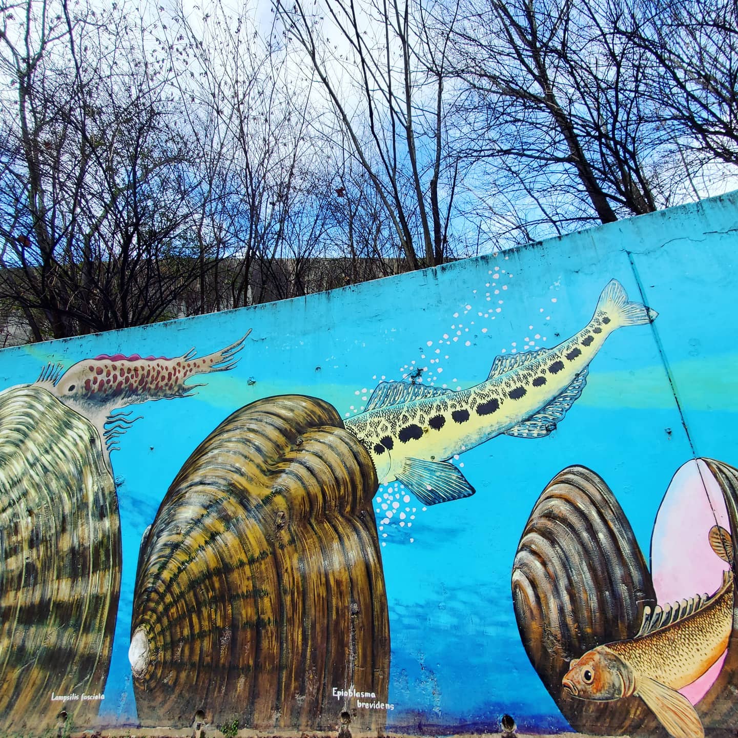 147697204_182483436987771_5988333019085086451_n