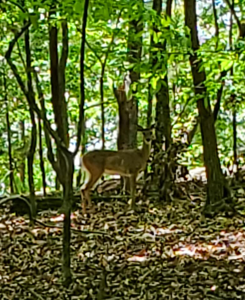 344326384_1329008457649526_5443767065831838919_n