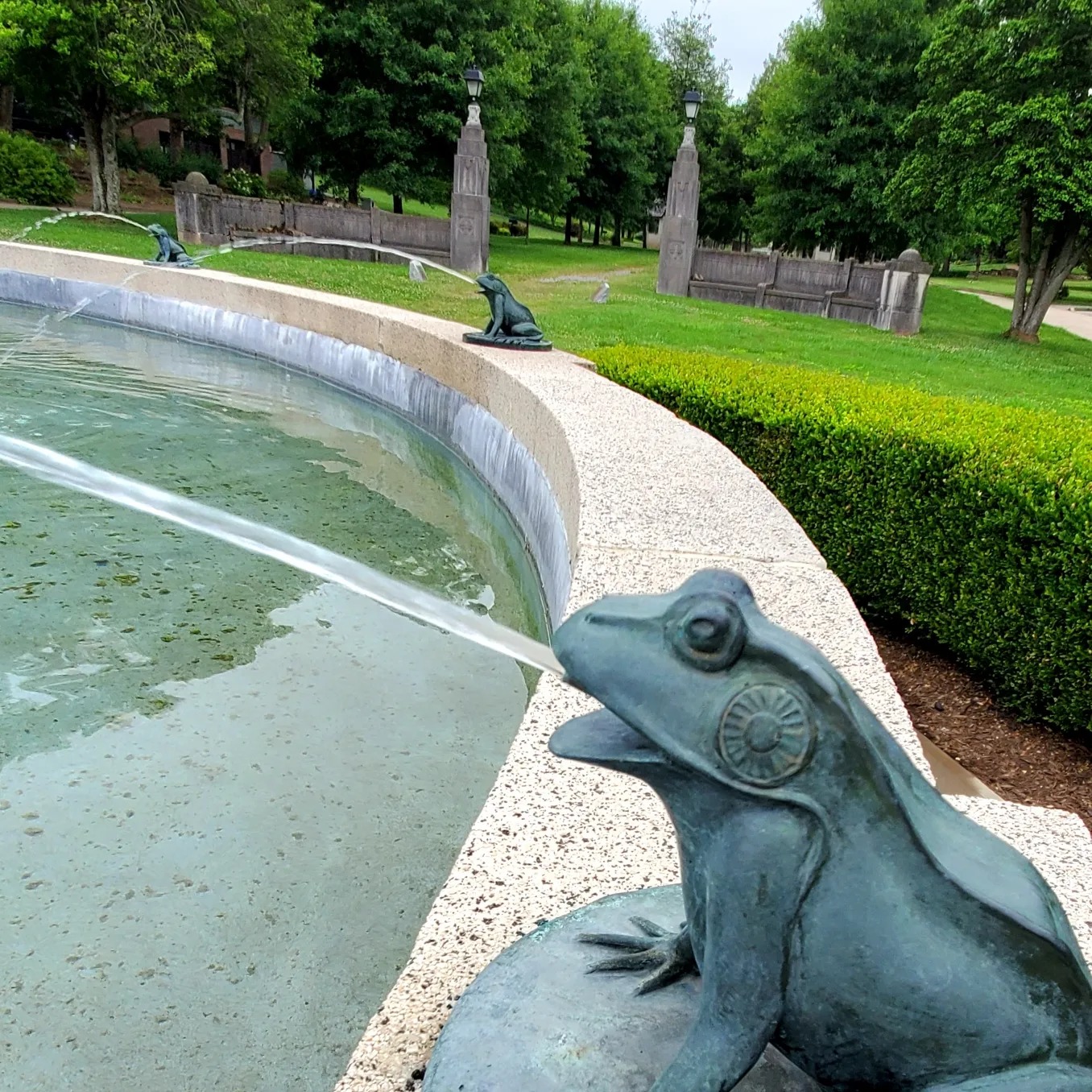 349303543_184804721192848_7863318081082741111_n