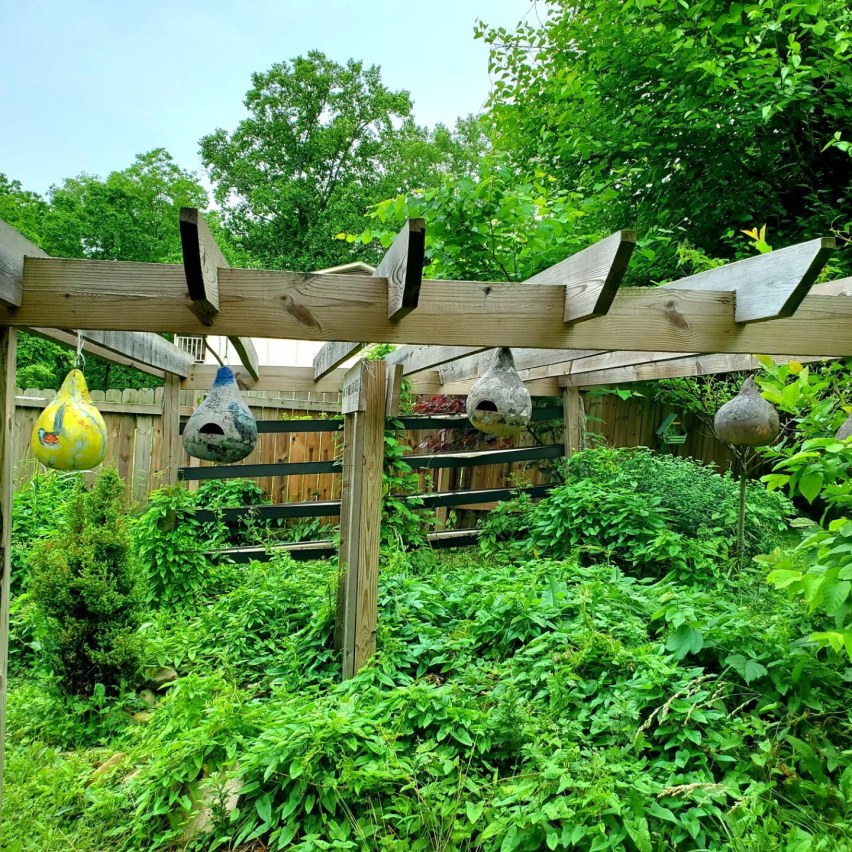 349640670_3420824764913040_8610035167868096419_n