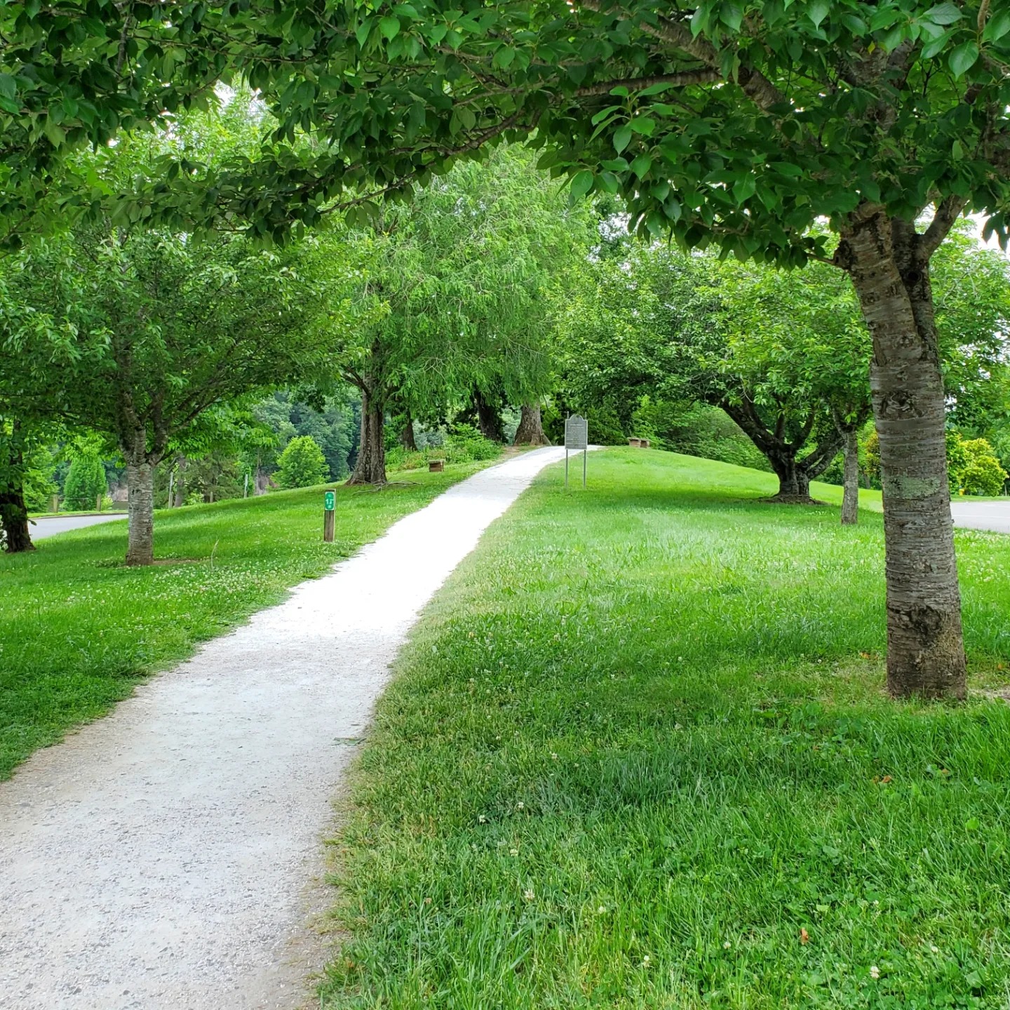 350099037_912917689994687_4336647150901239559_n