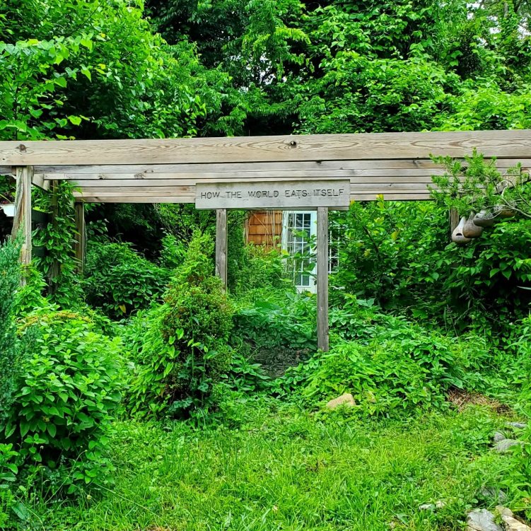 350300340_731617998717199_3556191079941409867_n