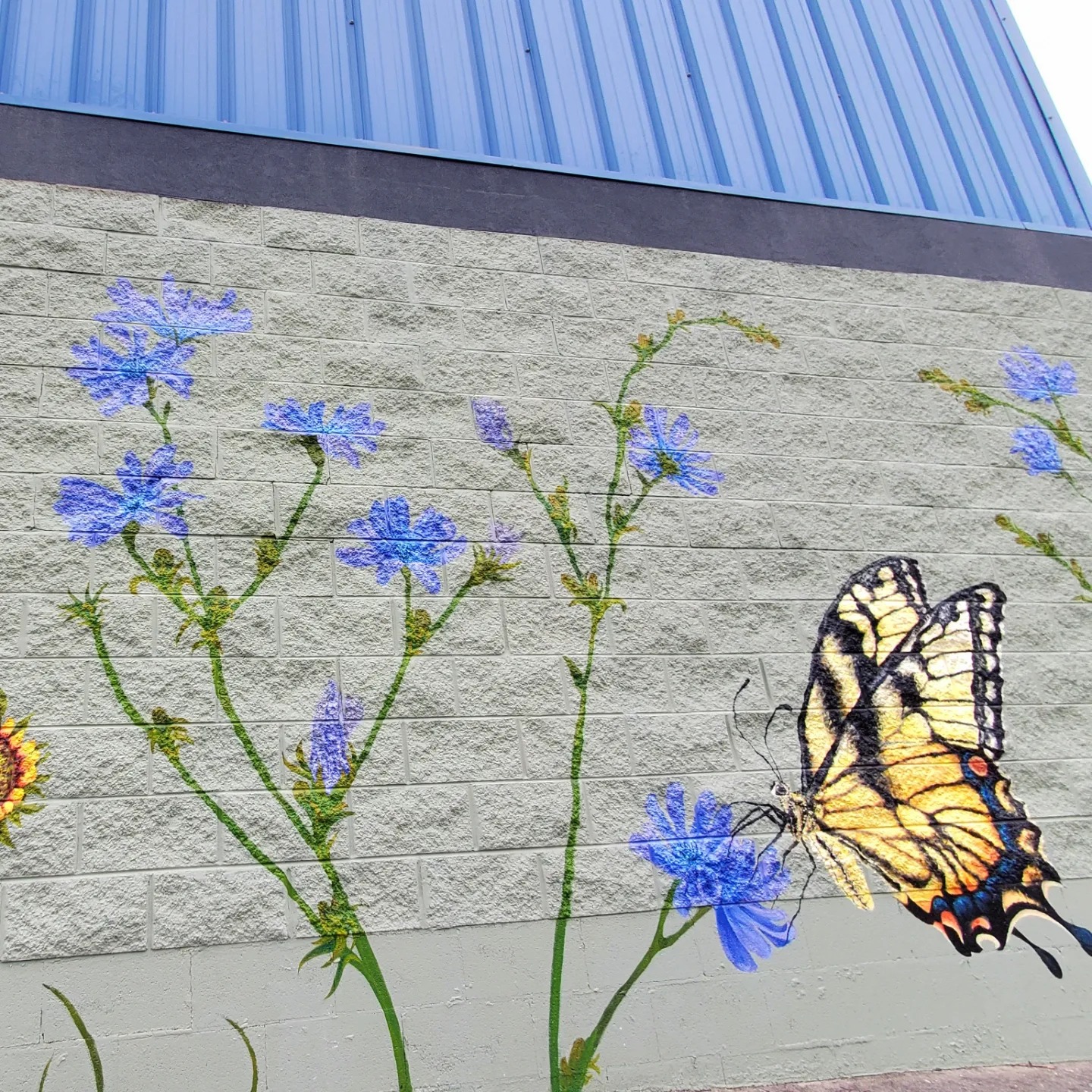 350500031_780523403601879_1164636783794809195_n