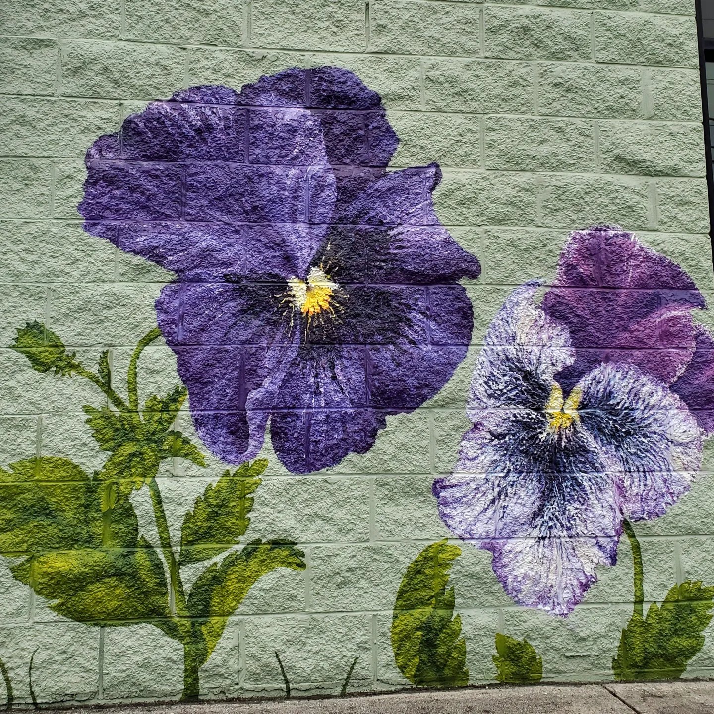 350508831_765140505337190_4810721222816337178_n