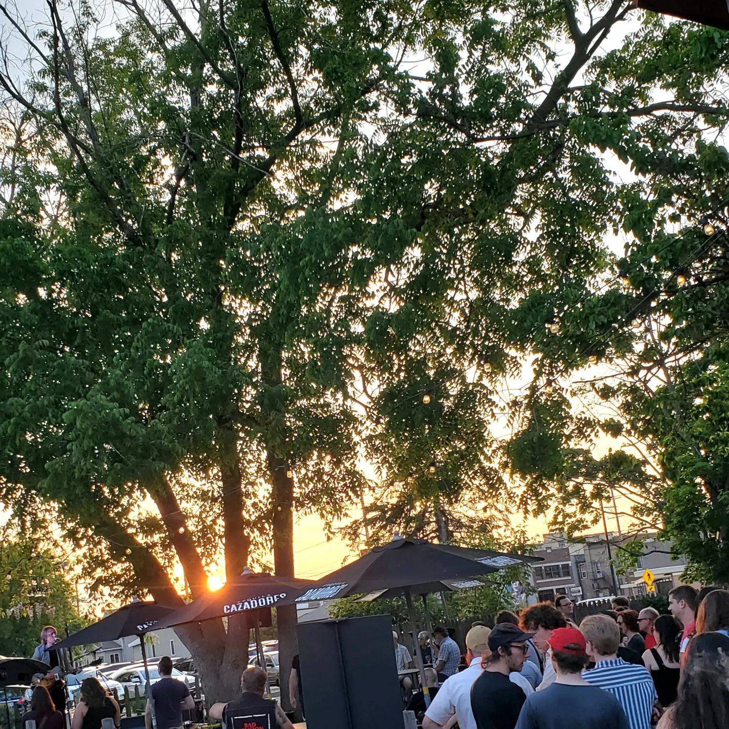 350521467_2408096522702592_328312169963201367_n