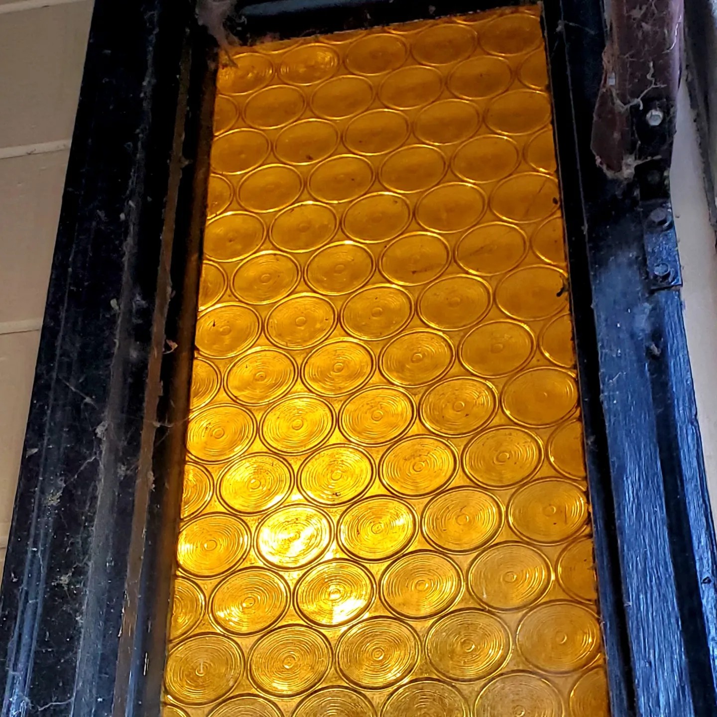 350640890_1293958247912722_1442548693298314842_n