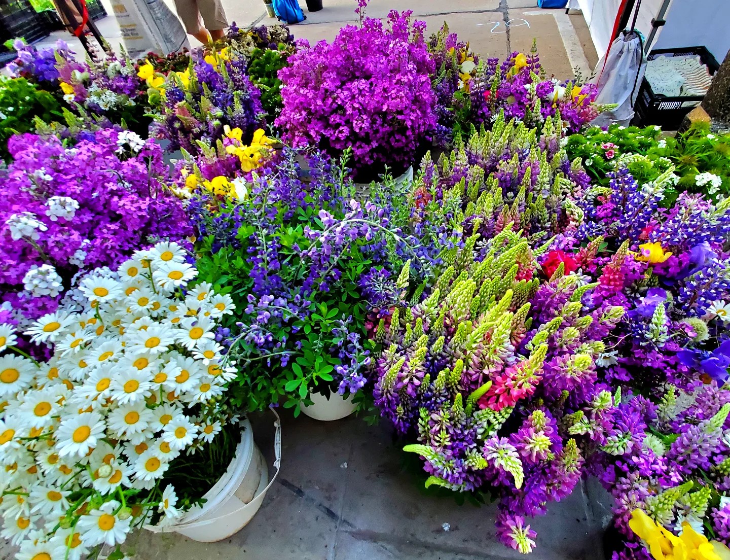 351137450_168611779301436_7311208907227946508_n