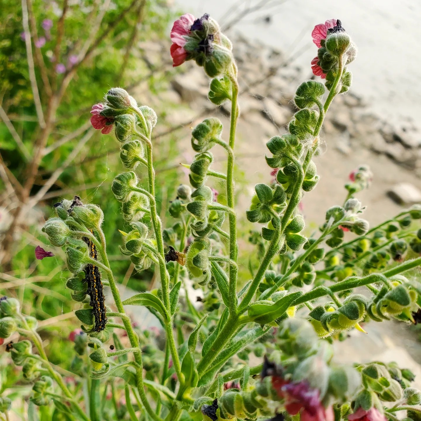 351184191_623328412836885_9219308284893398765_n