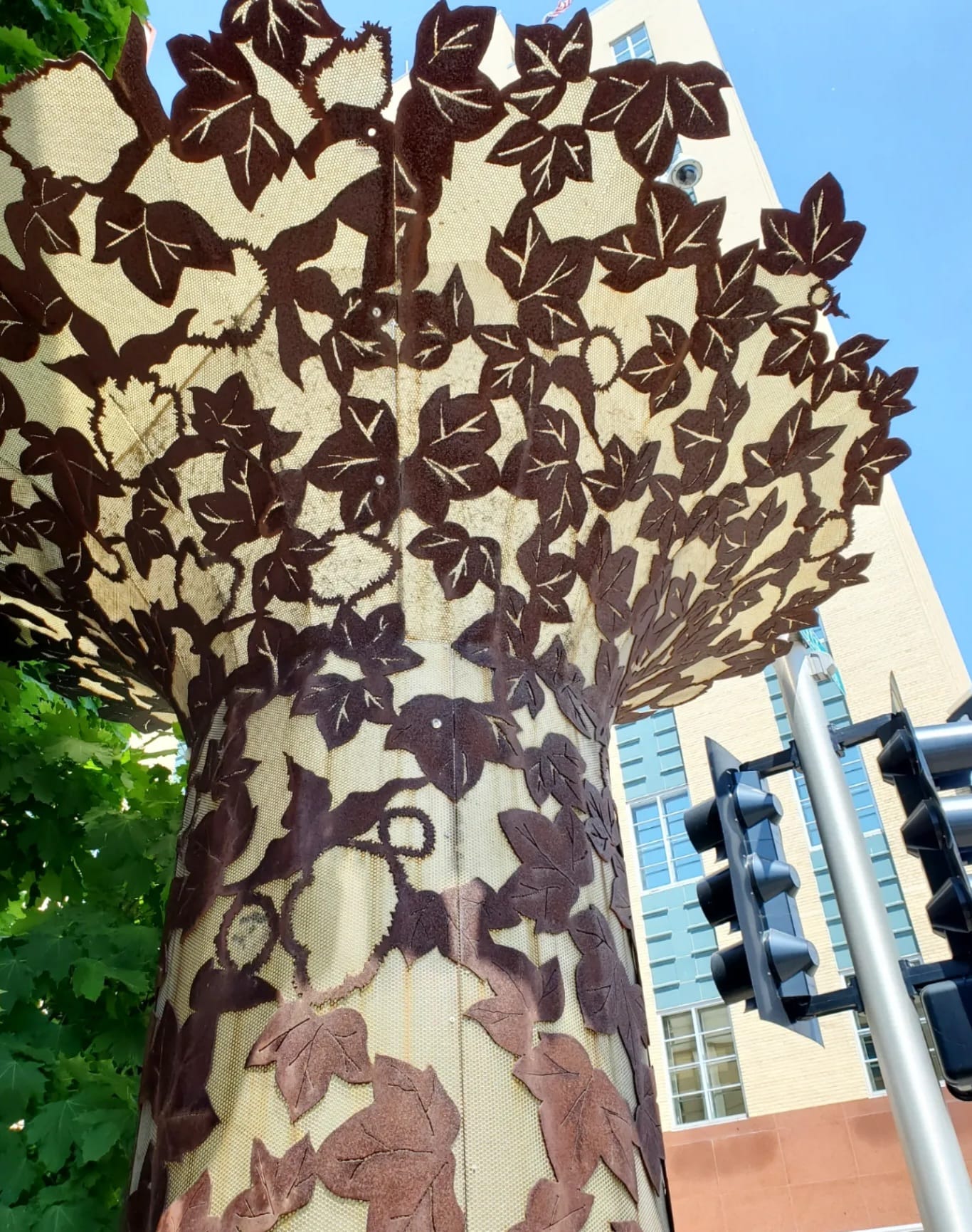 351566583_636707078424067_4353500482934513531_n