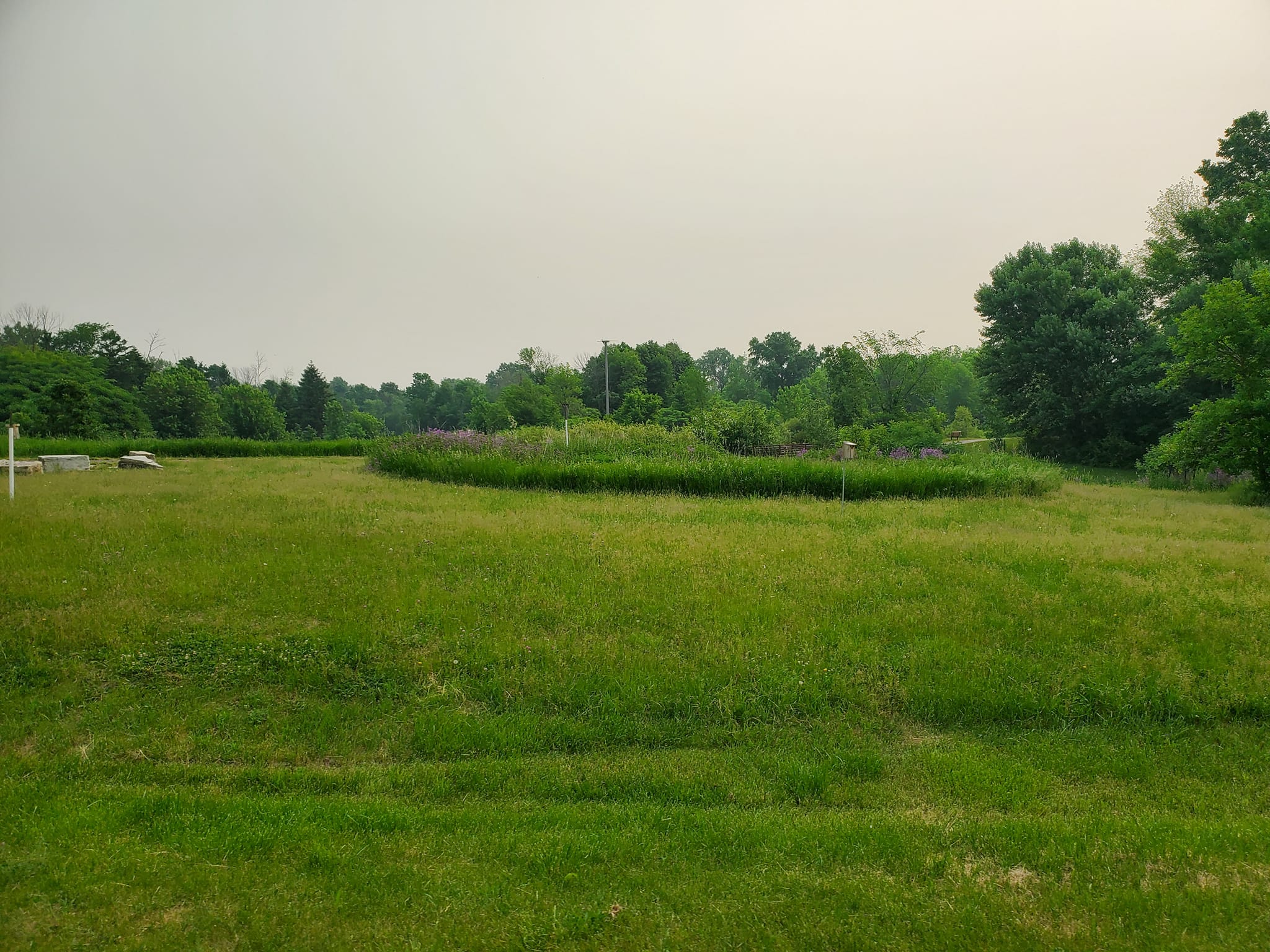 351780876_750111600319401_8674245032389311121_n