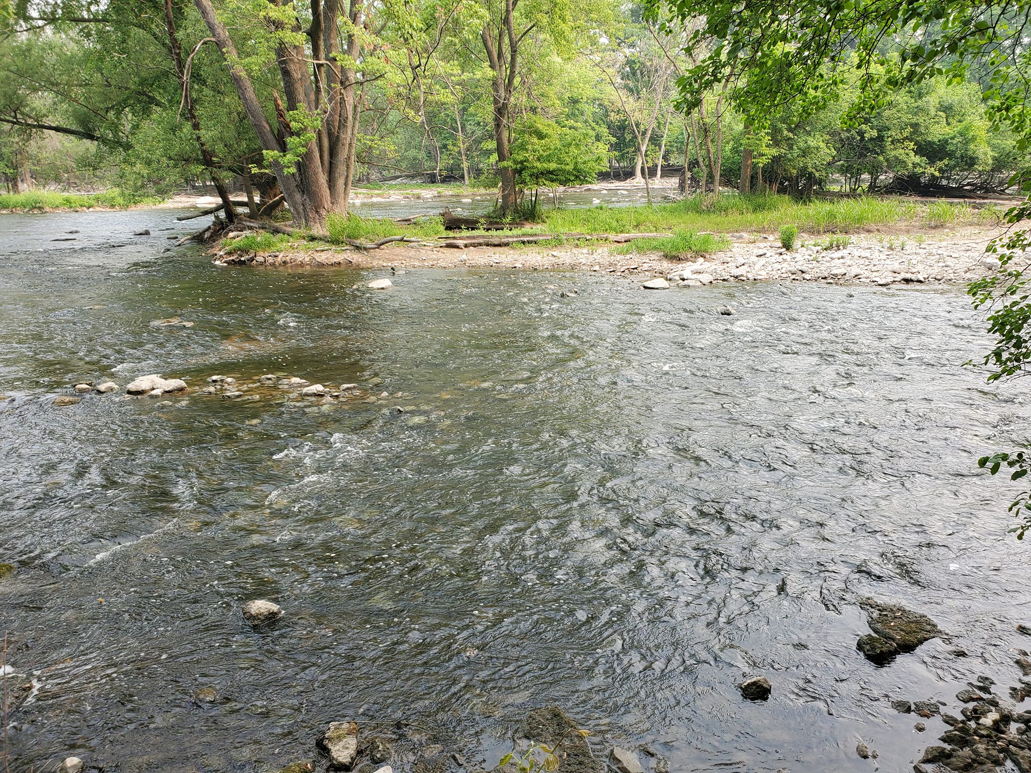 351892694_745332367510670_6563973381940247560_n