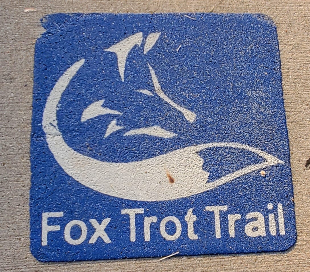 352289524_702877271641742_7347901580521263370_n