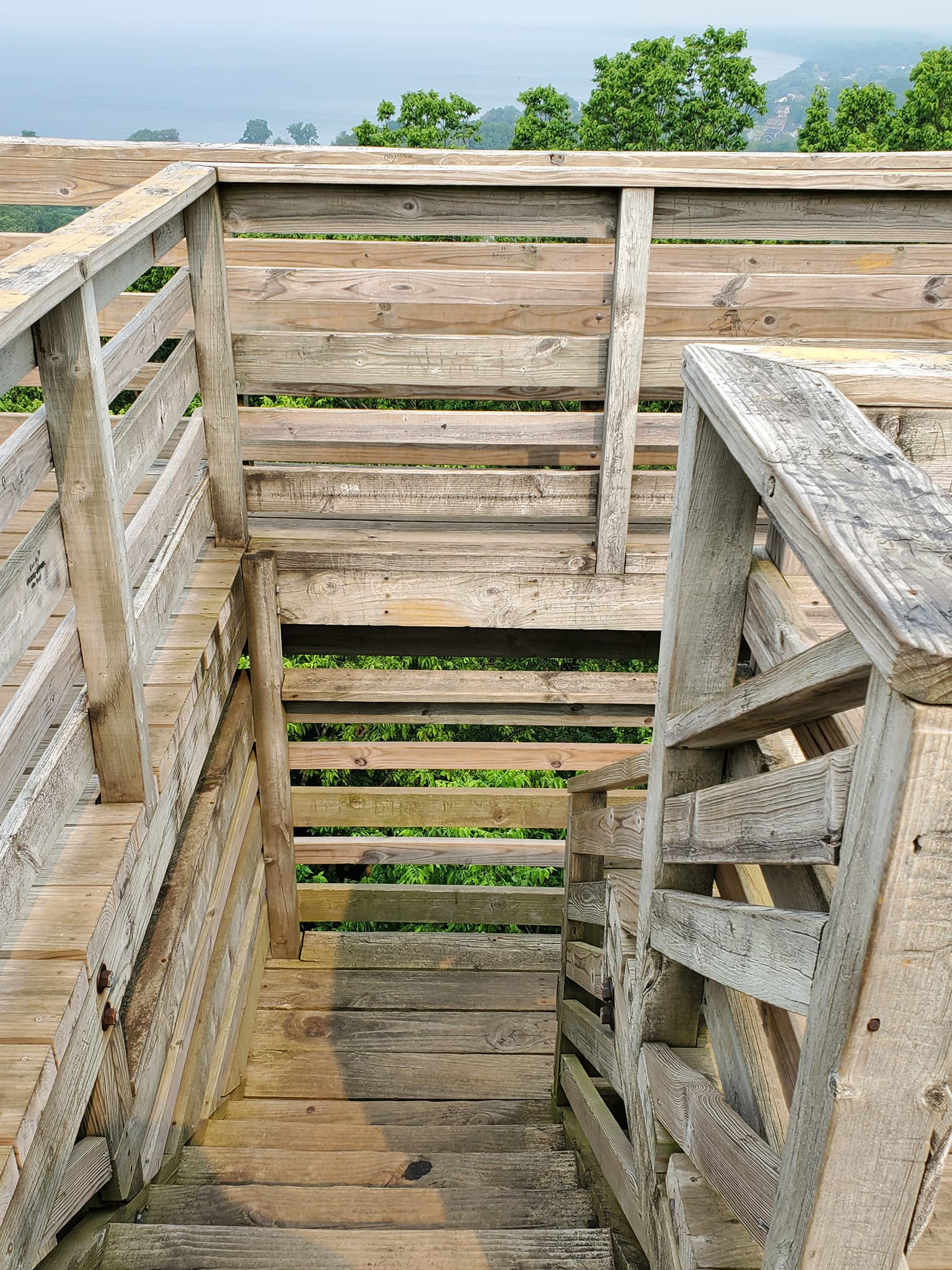 352396782_935162620937672_6972118764651189260_n