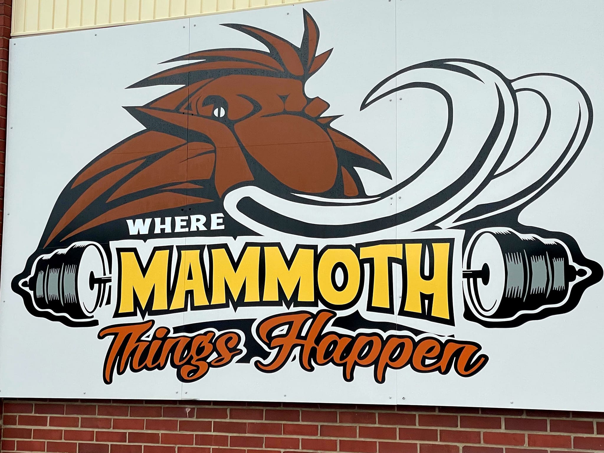 354582114_755456423023800_2813789662572775739_n