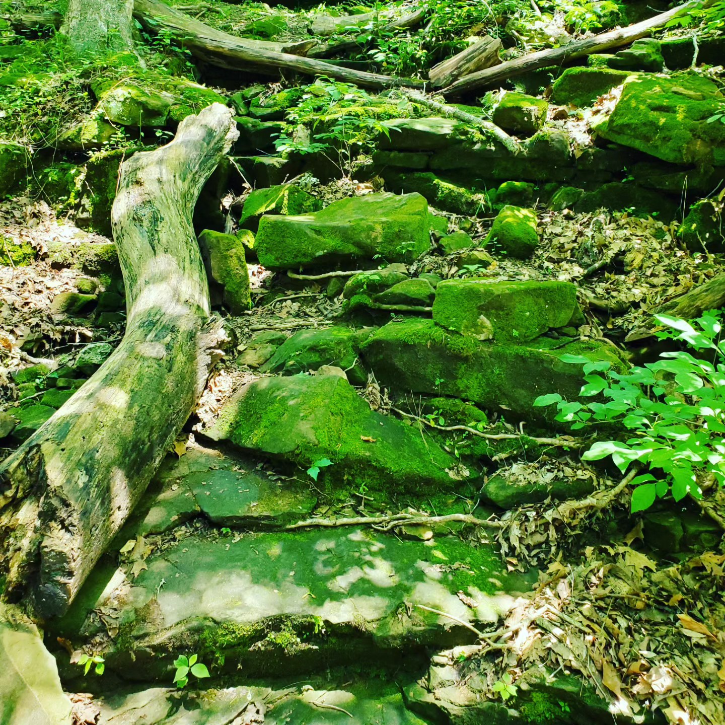 355490403_755177816384994_4079283601509835349_n