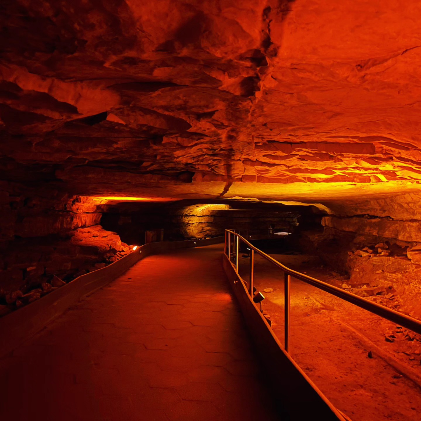 356112111_754649056437870_3642271539023411115_n