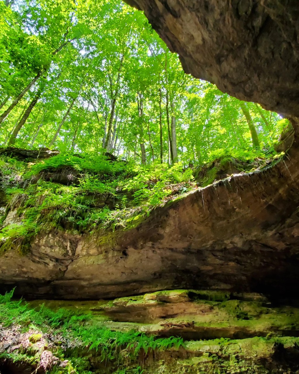 Mammoth Cave National Park & Old Original&nbsp;Cave