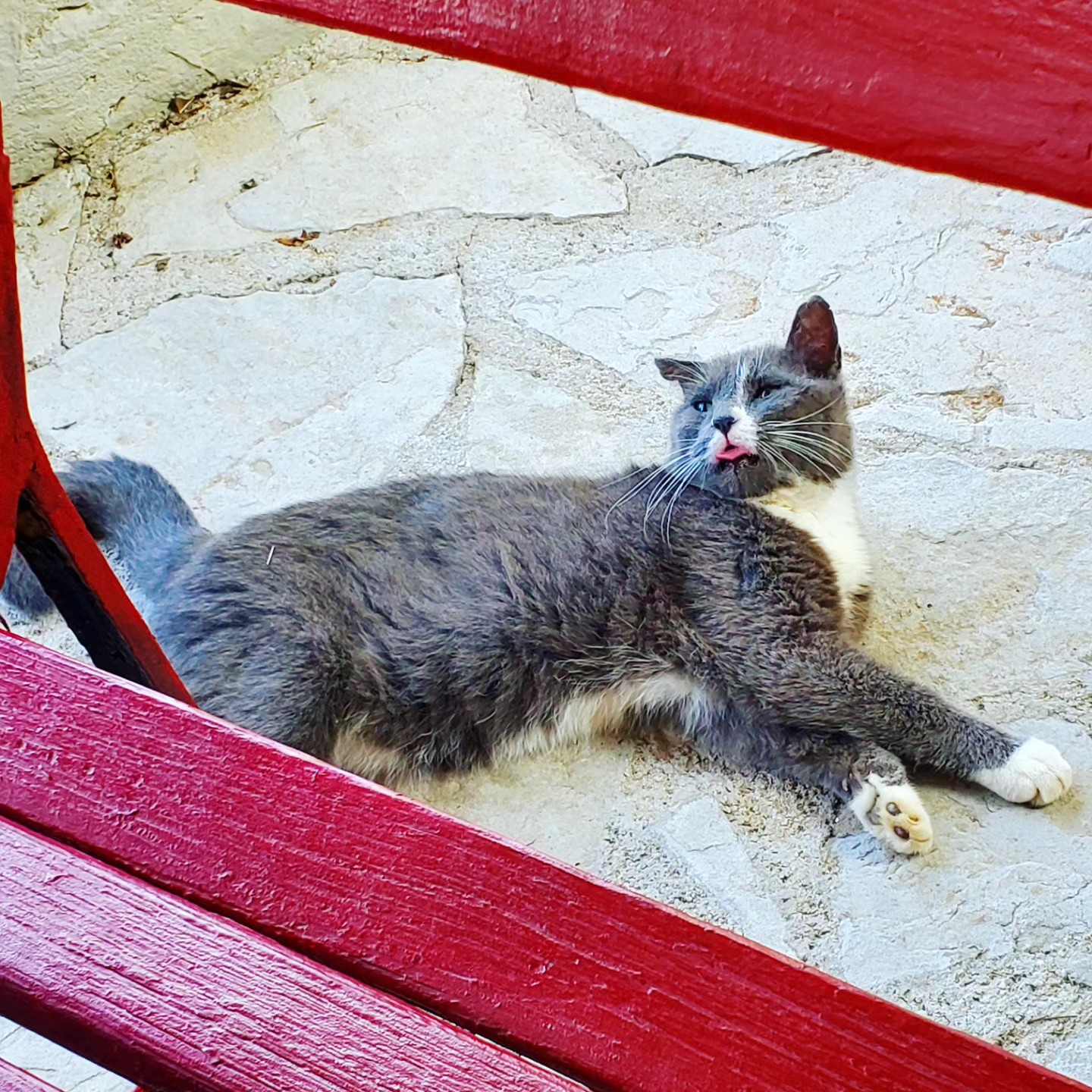 356430723_754605326442243_7918615414621826263_n