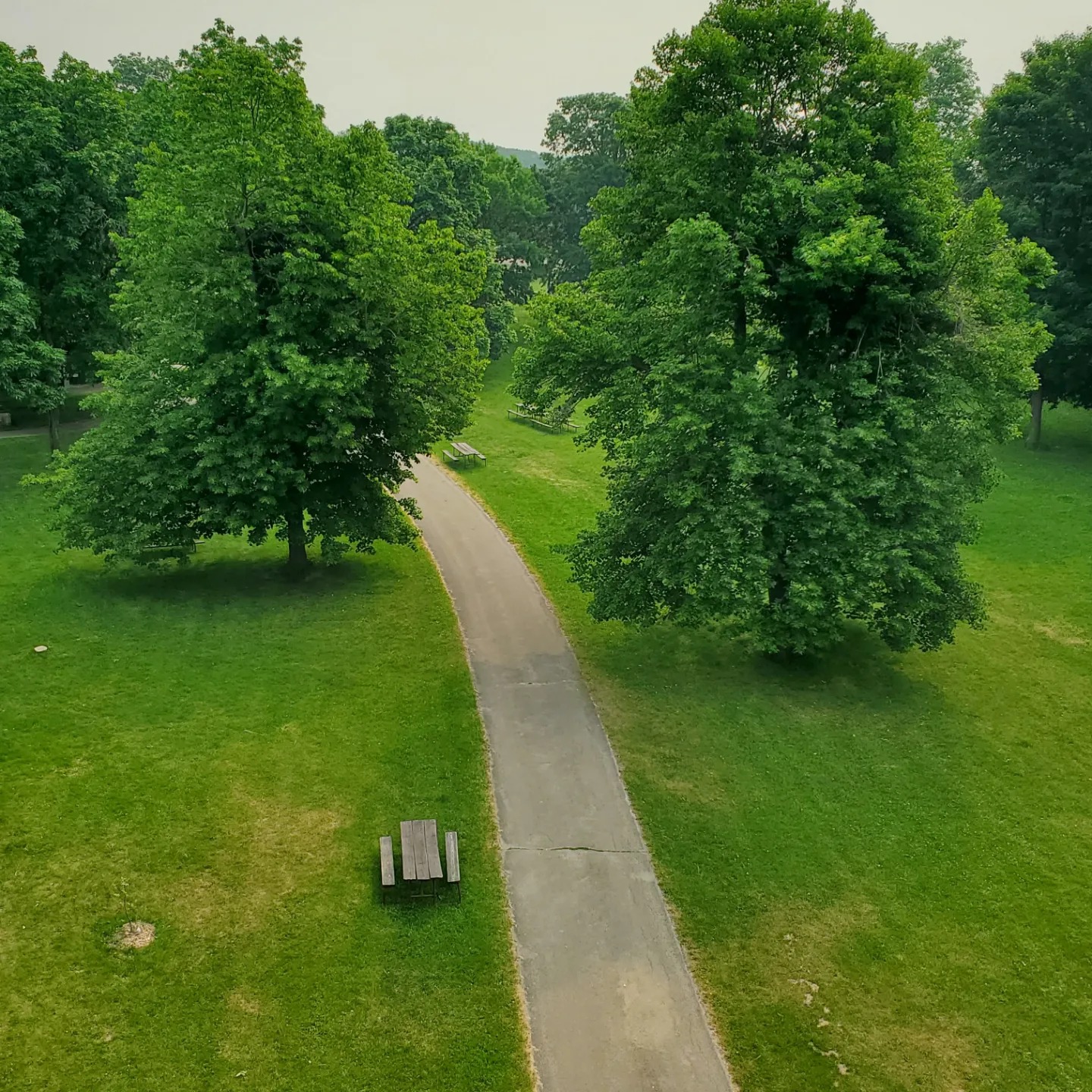 a351112807_1559731177886933_1041297392875994209_n