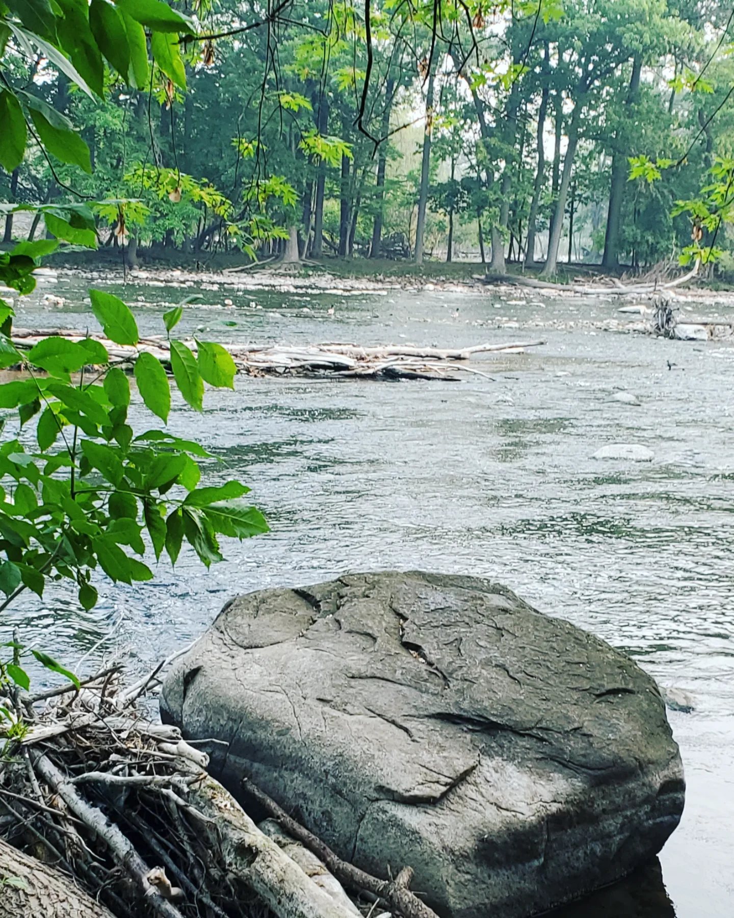 a351119765_981369703002403_8659403010461021372_n