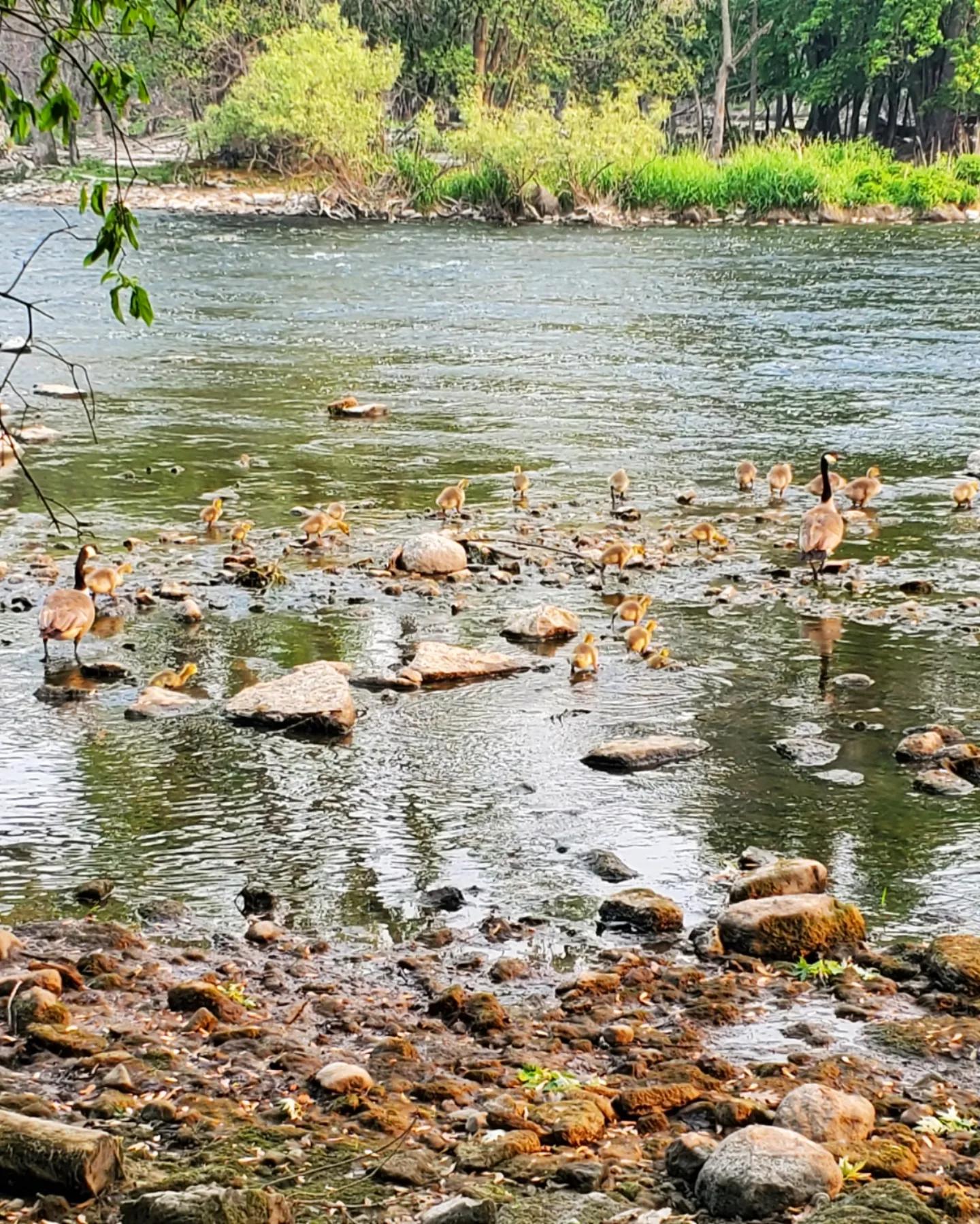 a351134699_1652611021920990_3698722067155687579_n