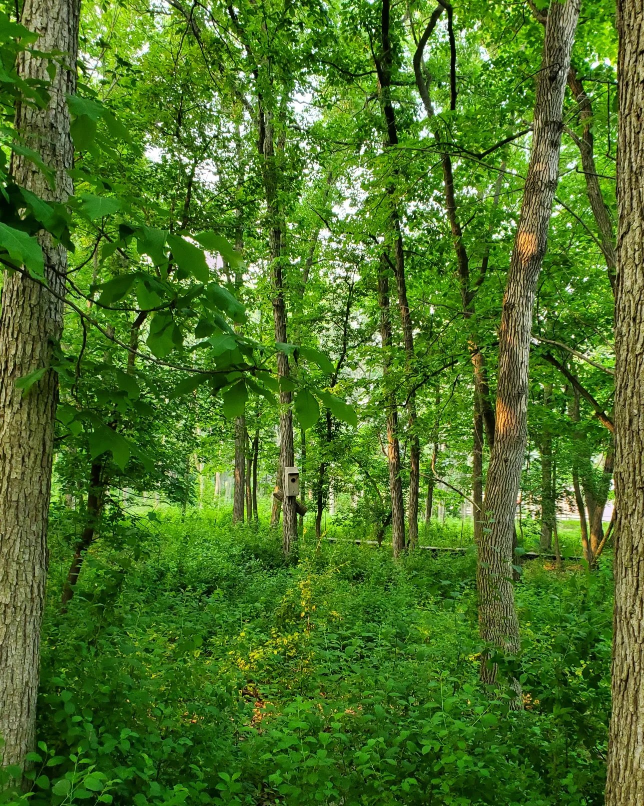 a351161801_233550449382517_8376744856997071357_n