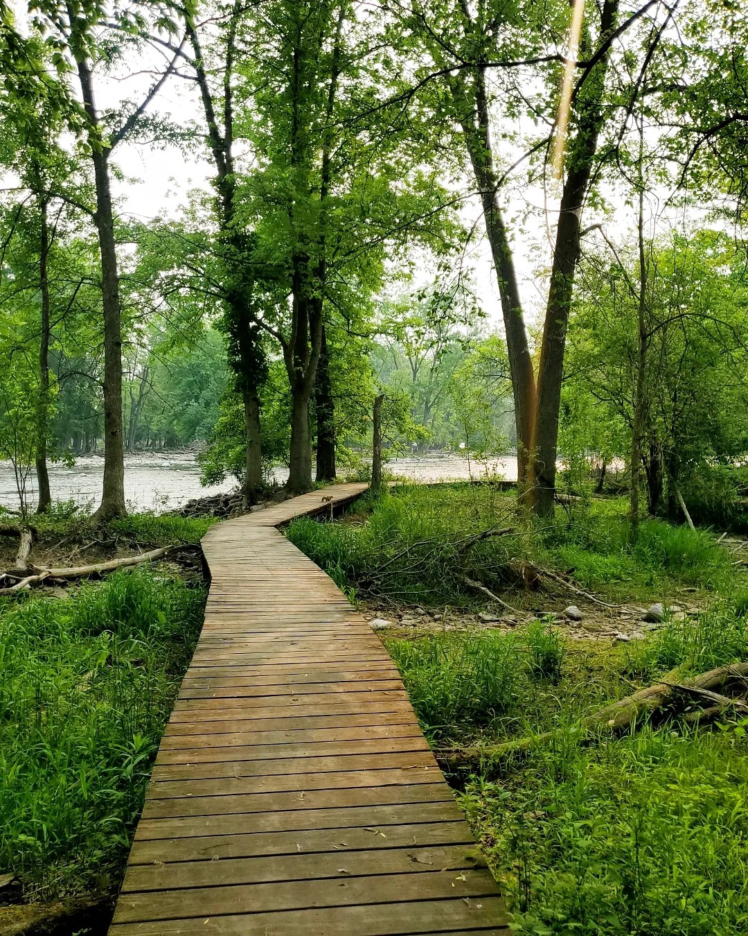 a351512678_268855895696720_2413349915707740665_n