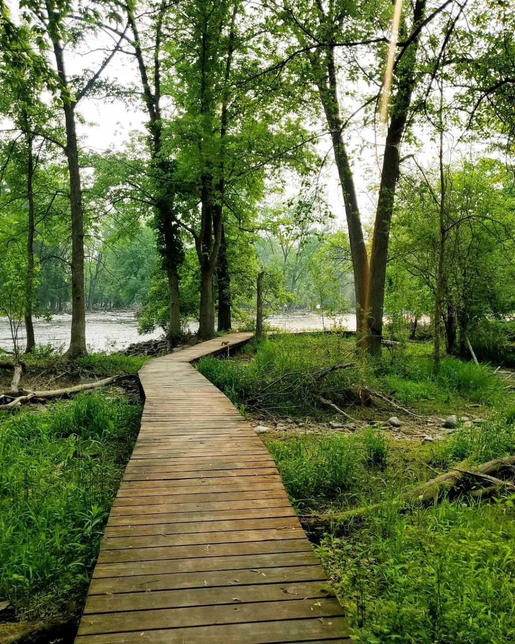 Nature is Electrifying: Kaukauna, Thousand Islands, & High Cliff State&nbsp;Park