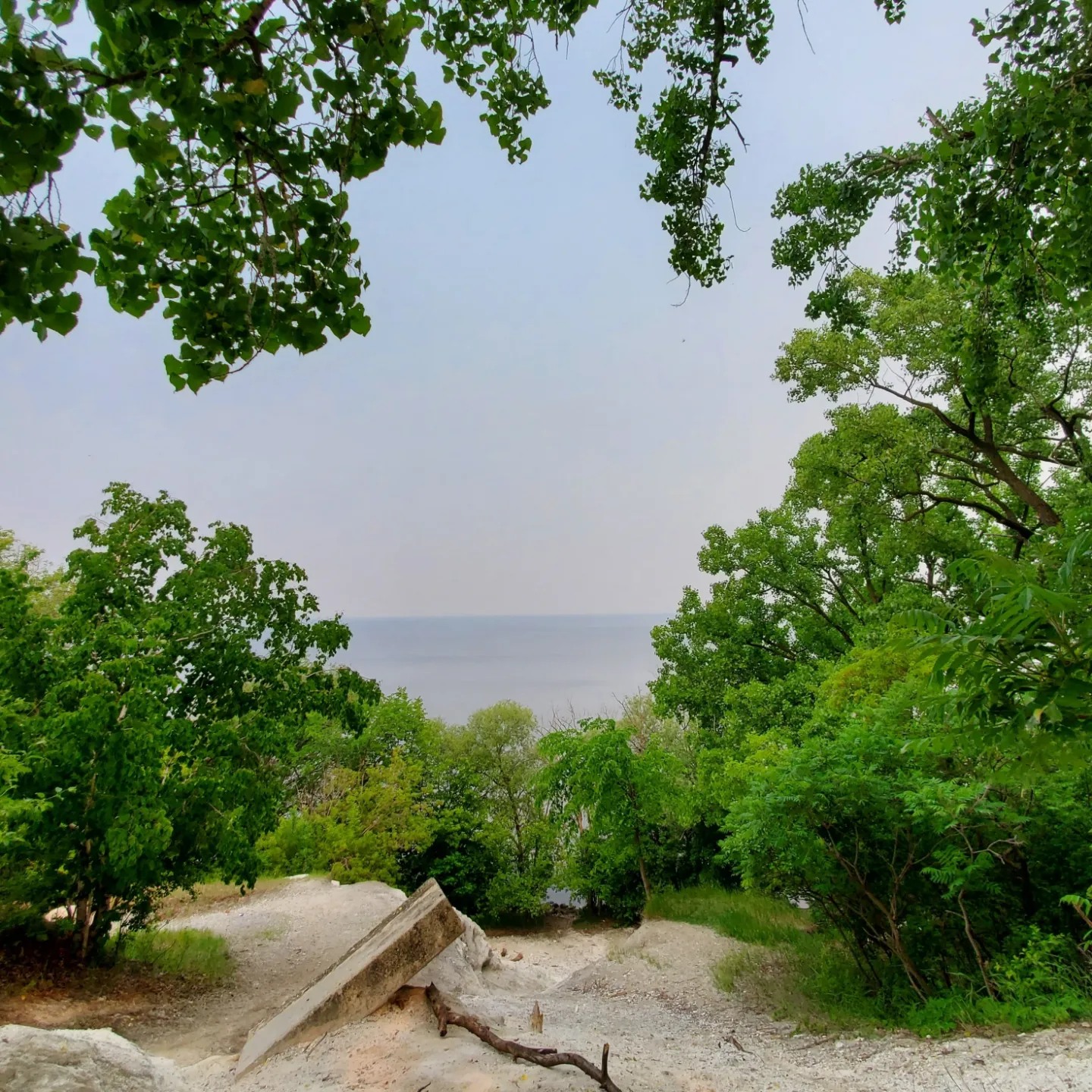 a351781803_798424824892022_7100214741397730405_n