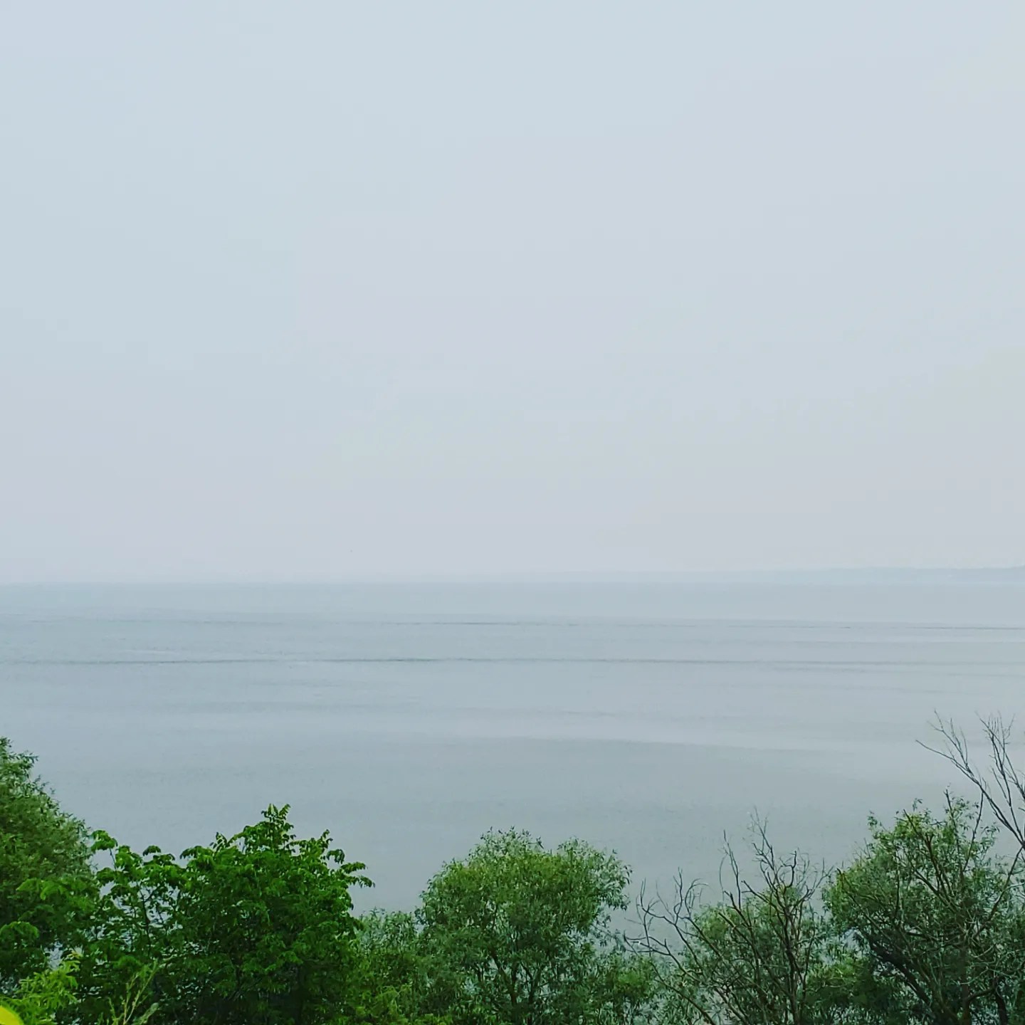 a352097954_1429107521188260_5941943717012741459_n