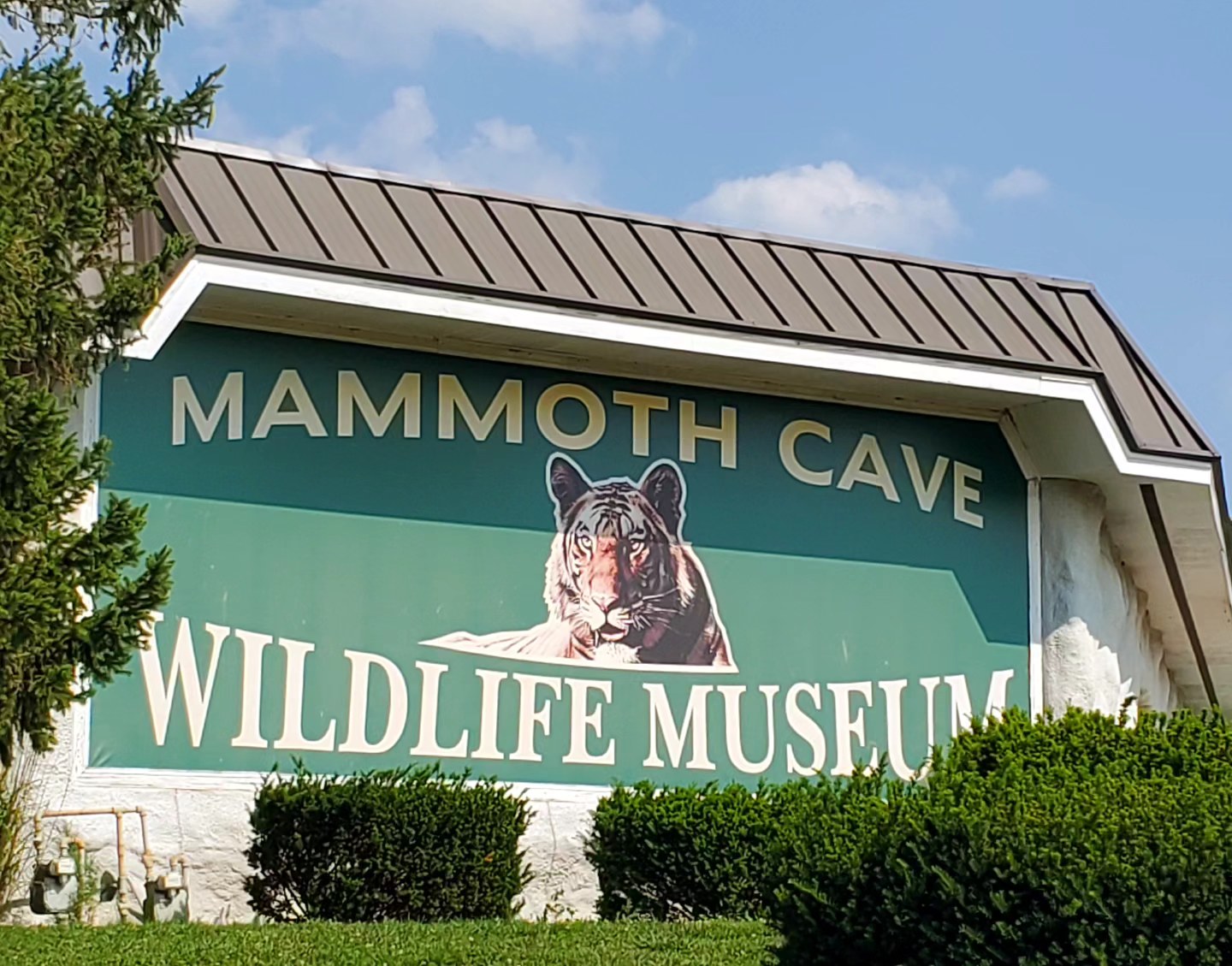 a355505296_755185143050928_1004231758982927512_n