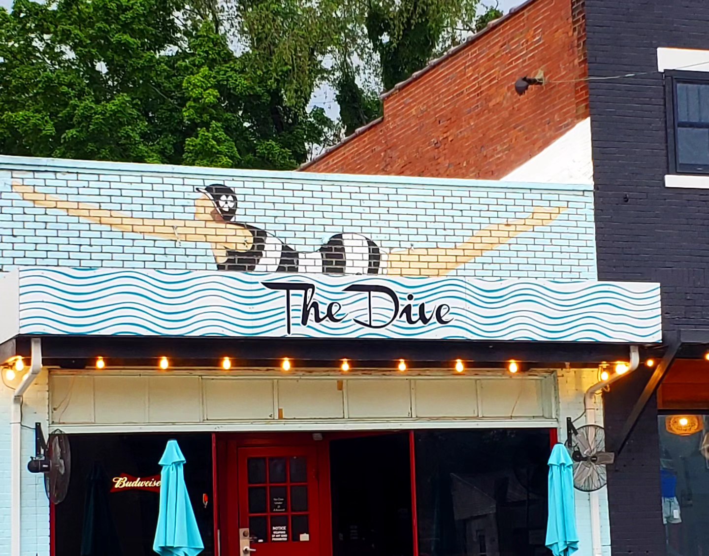 a356119856_755185146384261_8067091123192918540_n