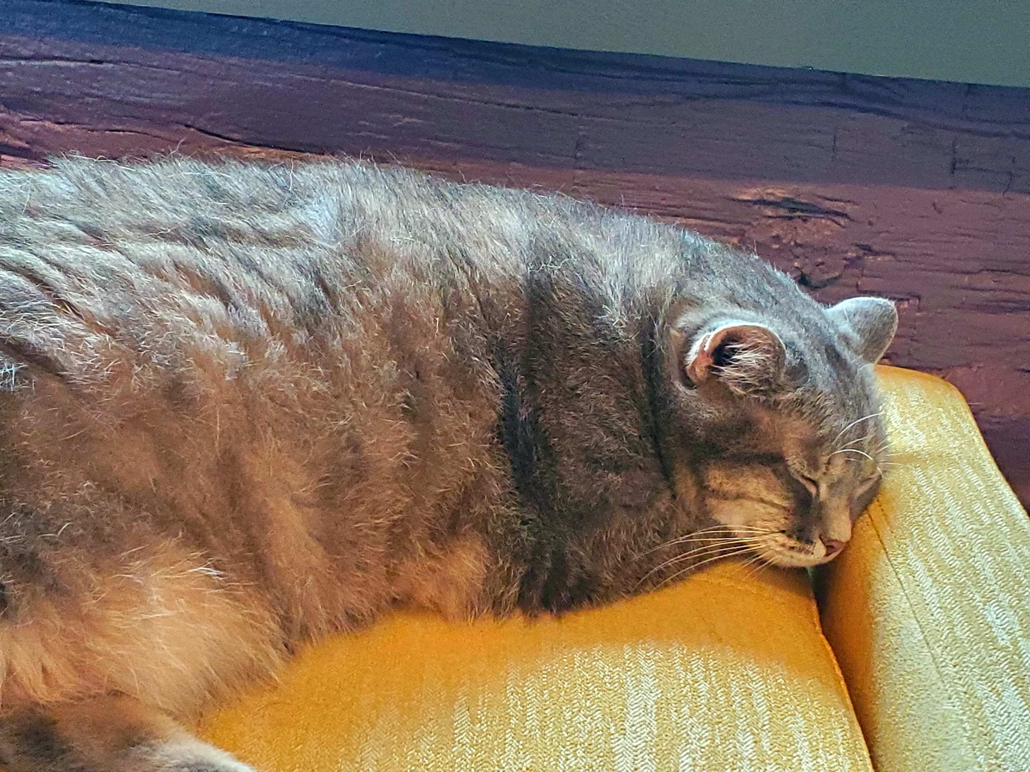 357120140_759666509269458_6123634293373773139_n