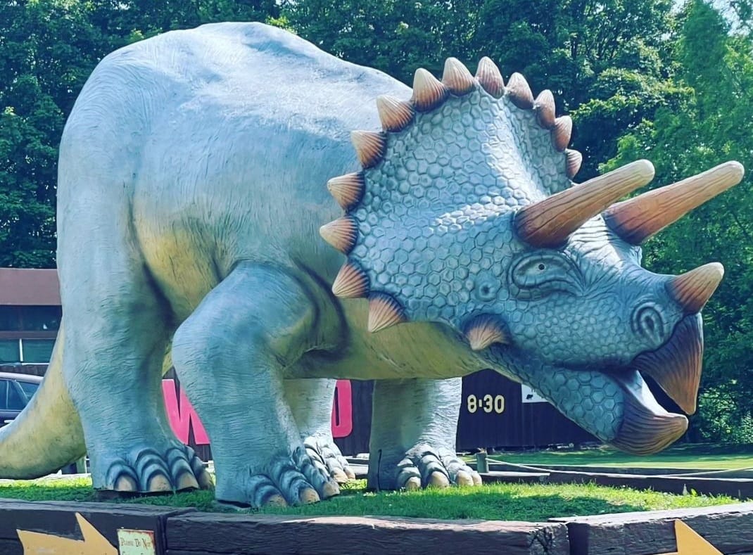 357430249_760386665864109_349342813105039614_n